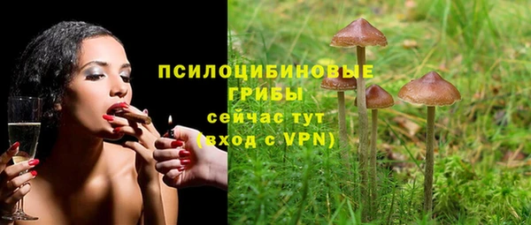 СК Переславль-Залесский
